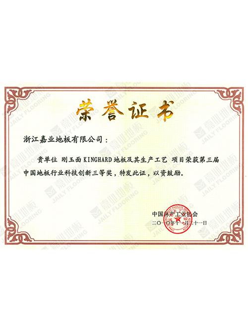 中國(guó)行業(yè)科技創(chuàng)新榮譽(yù)證書